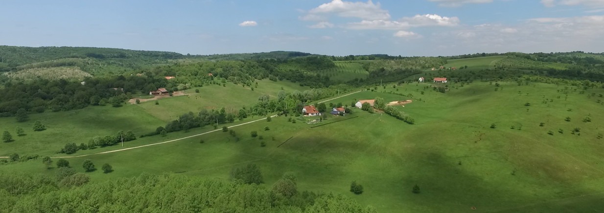Borsos Béla: Gyűrűfű újratervezés