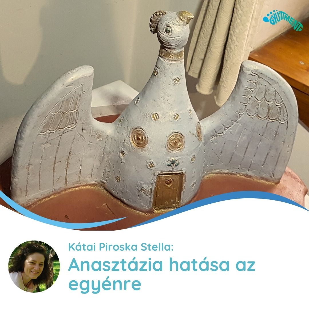 Kátai Piroska Stella: Anasztázia hatása az egyénre