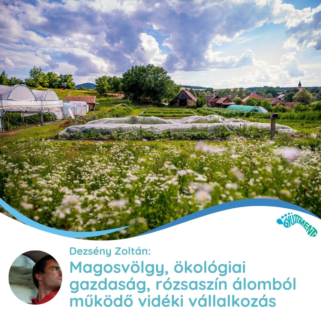 Dezsény Zoltán: Magosvölgy, ökológiai gazdaság, rózsaszín álomból működő vidéki vállalkozás
