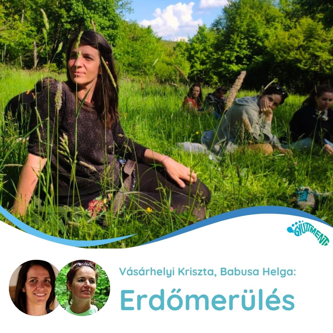 Vásárhelyi Kriszta, Babusa Helga: Erdőmerülés