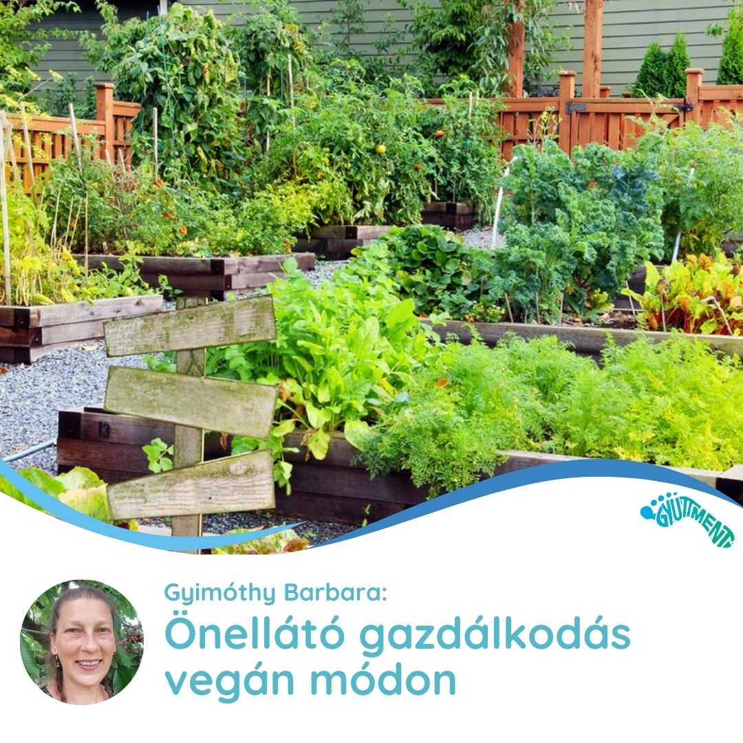 Gyimóthy Barbara: Önellátó gazdálkodás vegán módon