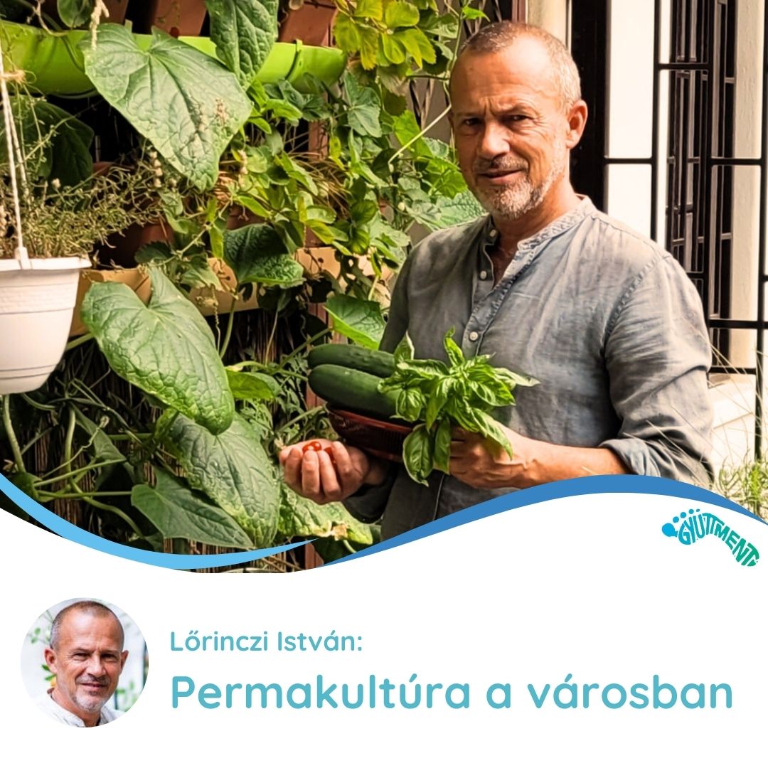 Lőrinczi István: Permakultúra a városban, Rózsa közösségi kert, gyermekotthon, óvóda és a gang