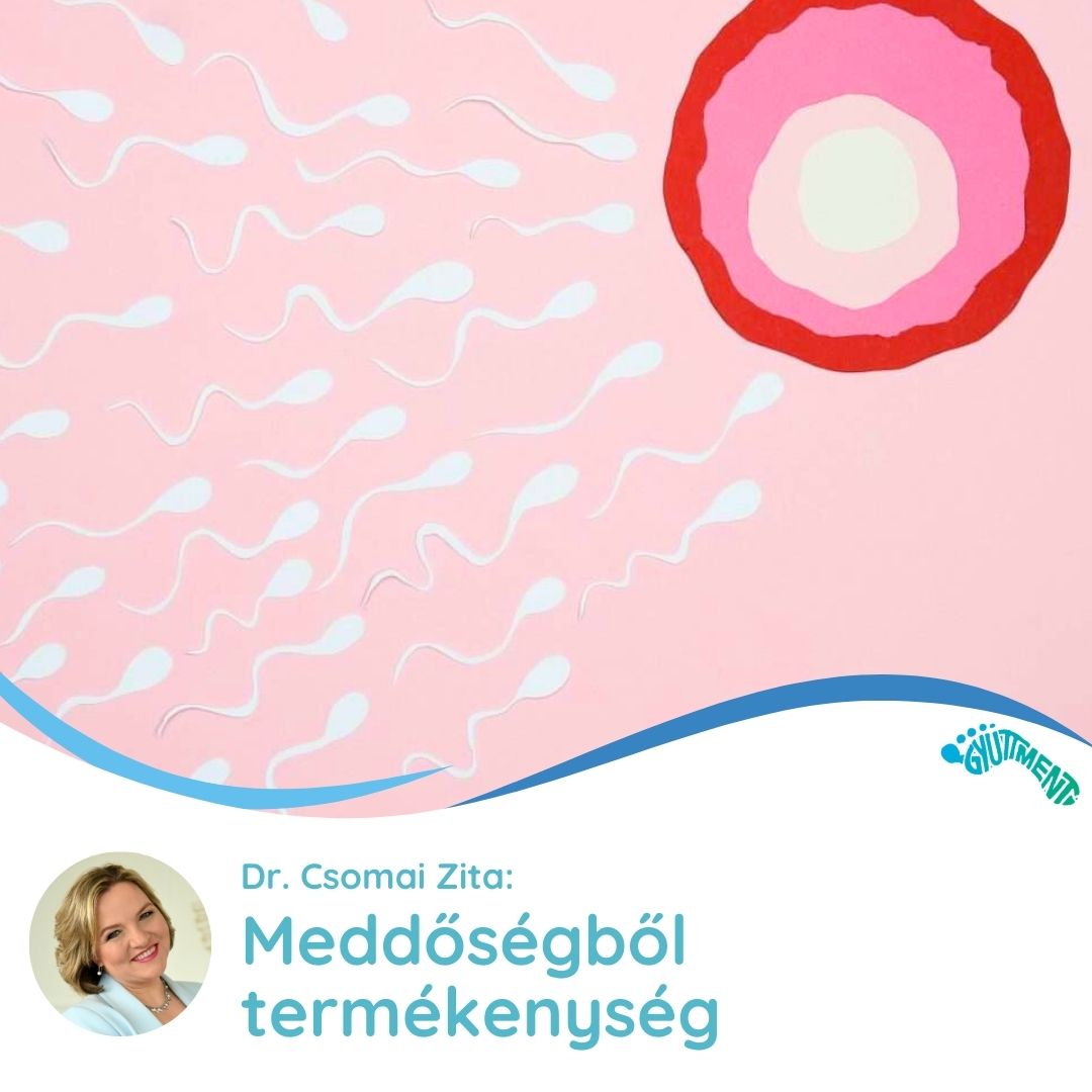 Dr. Csomai Zita: Meddőségből termékenység