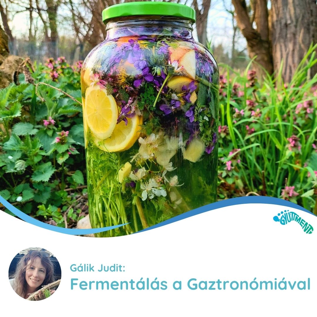 Gálik Judit: Fermentálás a Gaztronómiával