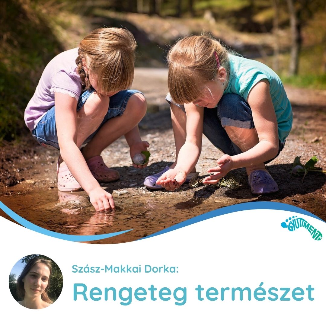 Szász-Makkai Dorka: Rengeteg természet 2
