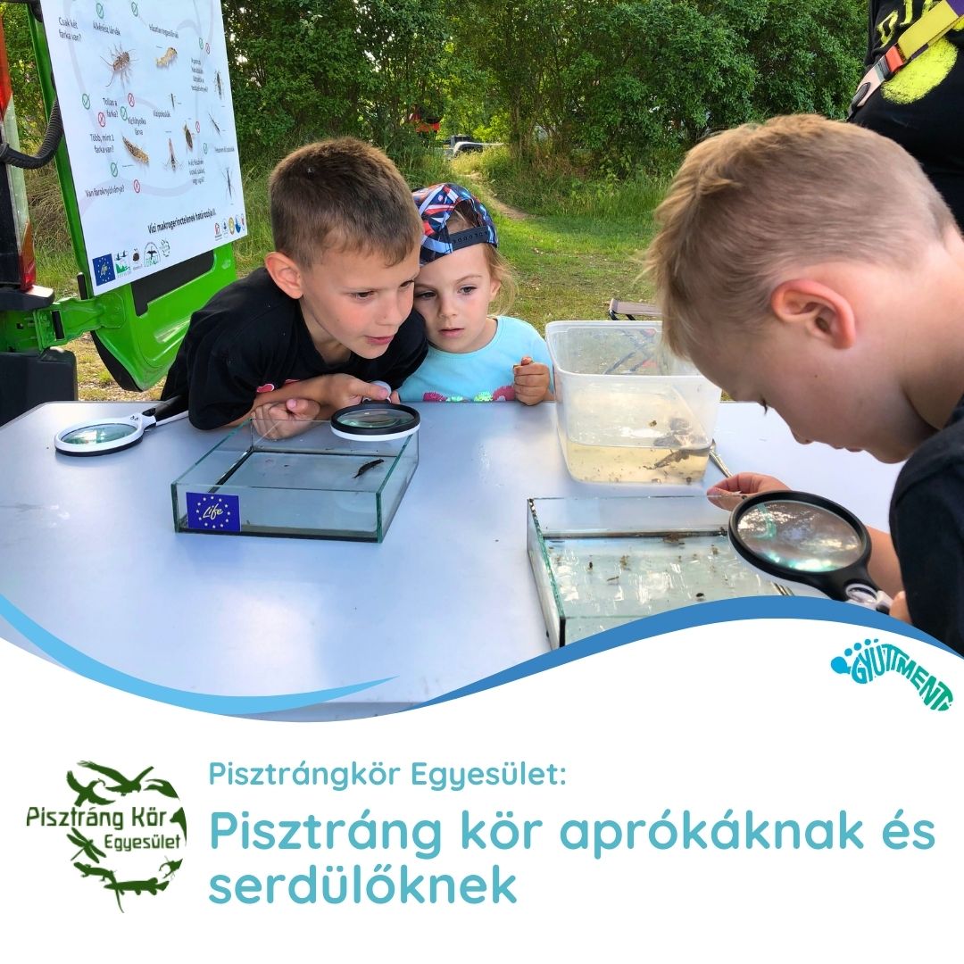 Pisztráng kör aprókáknak 3-6 év, péntek