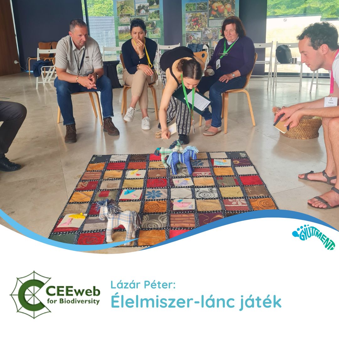 Lázár Péter: Élelmiszer-lánc játék