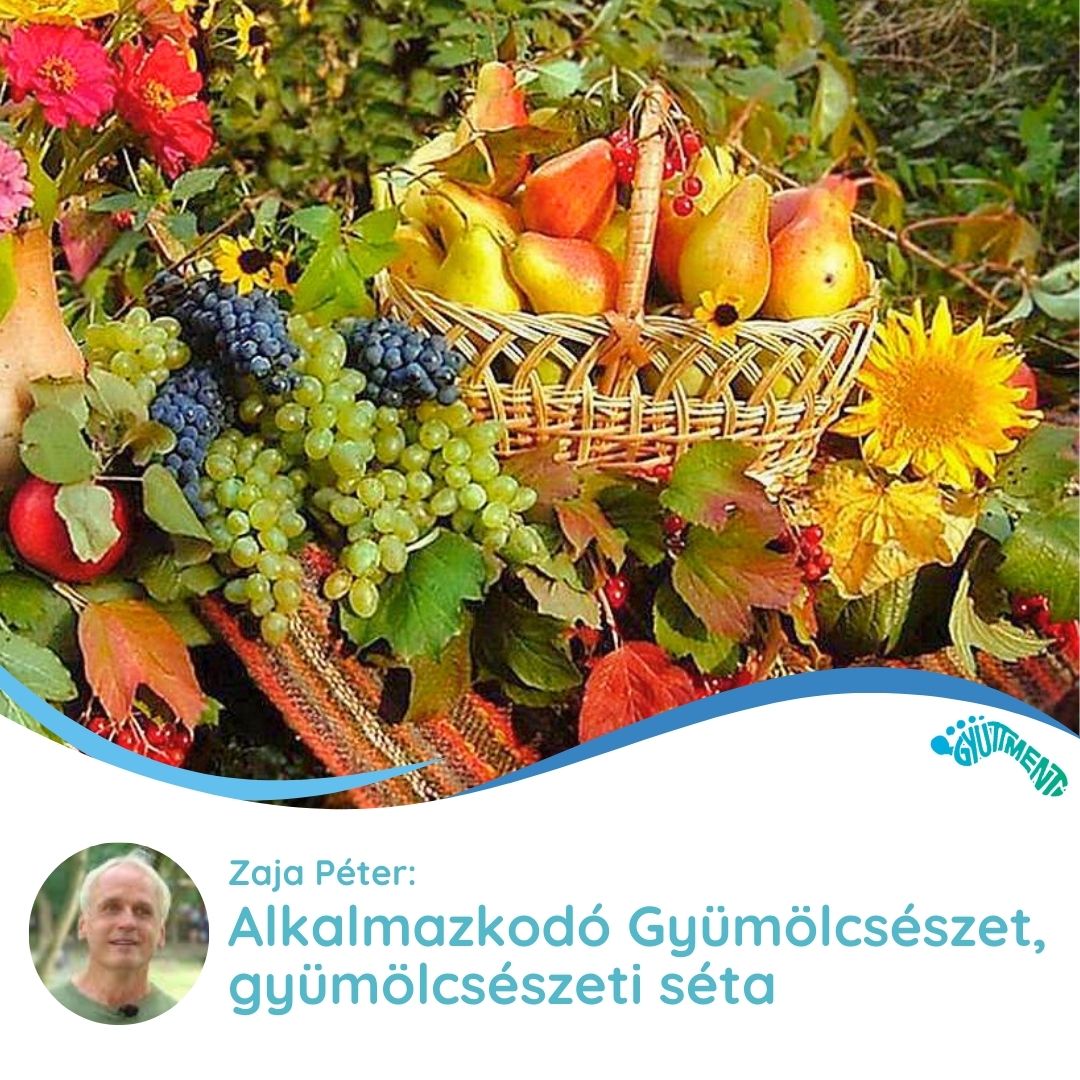 Zaja Péter: Alkalmazkodó Gyümölcsészet, gyümölcsészeti séta