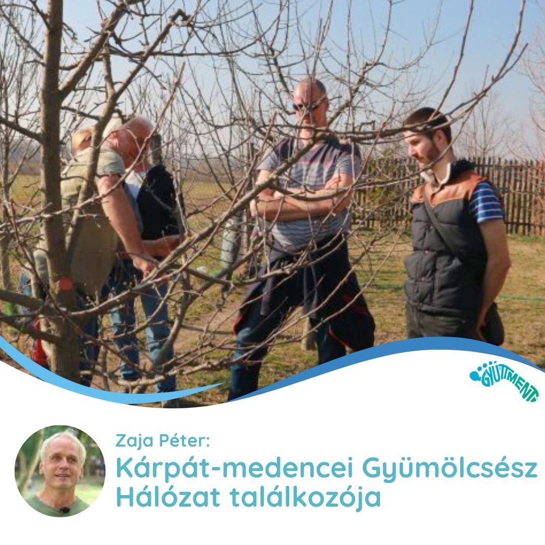 Zaja Péter: Kárpát-medencei Gyümölcsész Hálózati találkozója