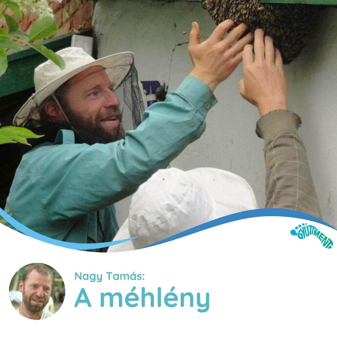 Nagy Tamás: Méhlények a gazdaságban