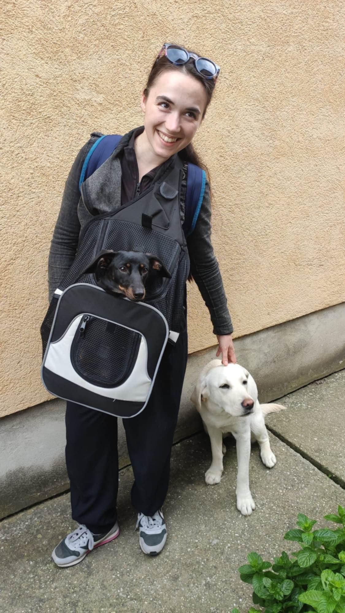 Hermann Brigitta: Báb/ok