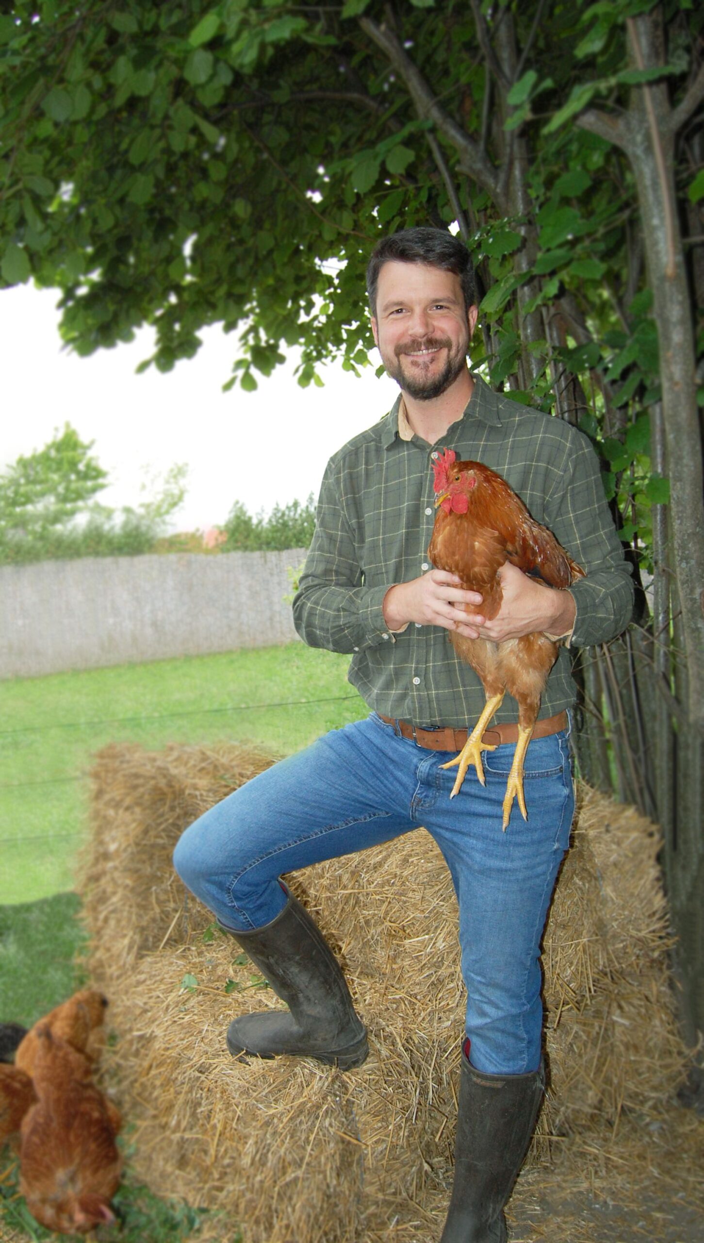 Tóth Zoltán László: Így neveld a tyúkodat!