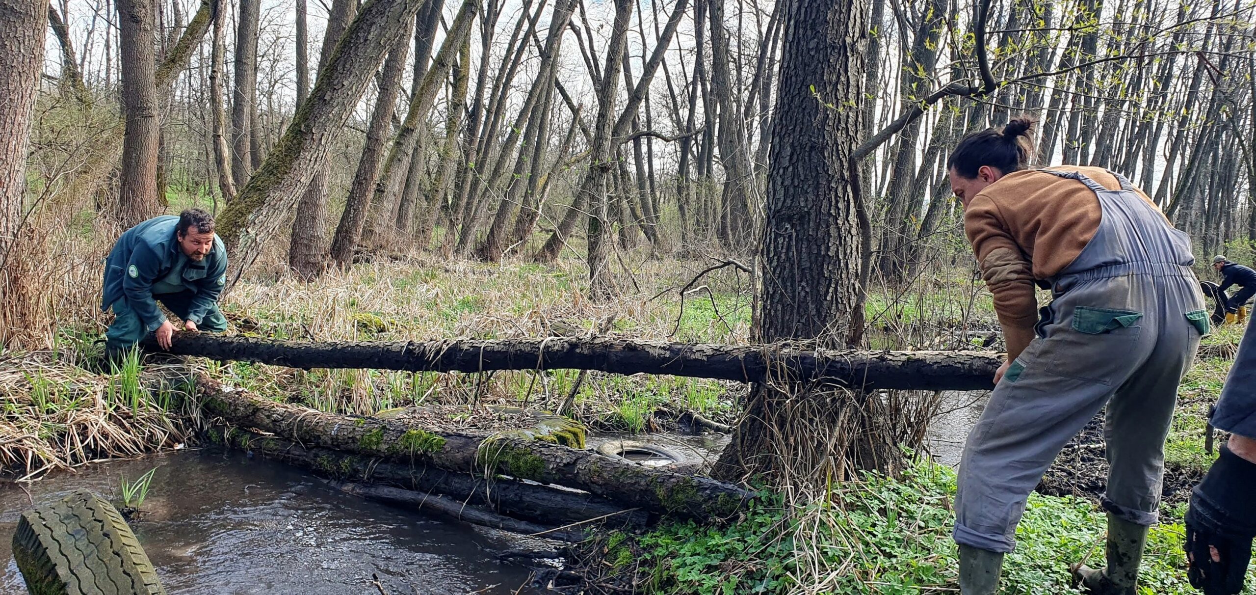 Németh András - Közösségben a természetért. A természetben a közösségért. - MŰHELY