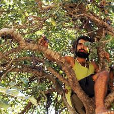 Nikiforos Papoutsopoulos: Mini Eco-Village Adventure – Co-Design & Co-Build - Mini Ökofalu-kaland, közös tervezés és építés