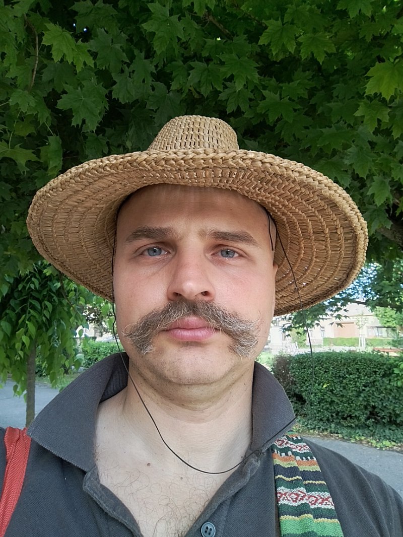 Pap Endre: Vályog tapasztás