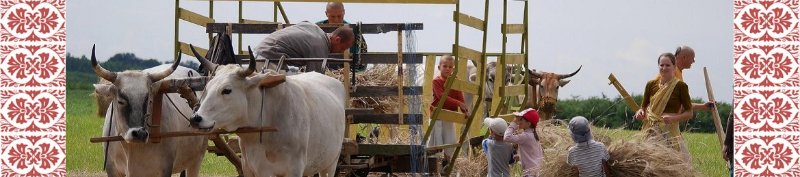 Magyar Élőfalu Hálózat Tudásmegosztó műhelye: Parasztsuli - a Magyar Élőfalu Hálózat Tudásmegosztó műhelye