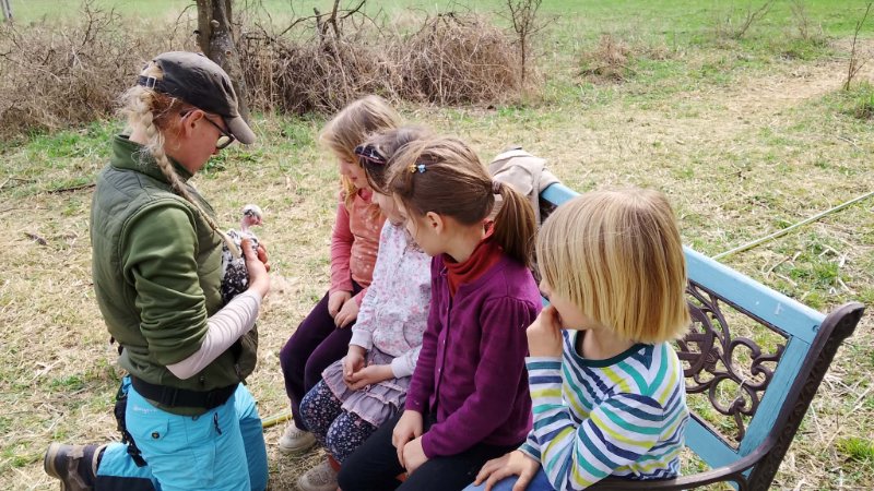 Sipos Móni: Zöld iskola állatos foglalkozás